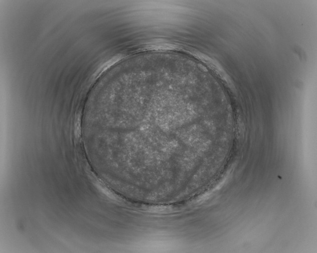 X0000110730889200907241225