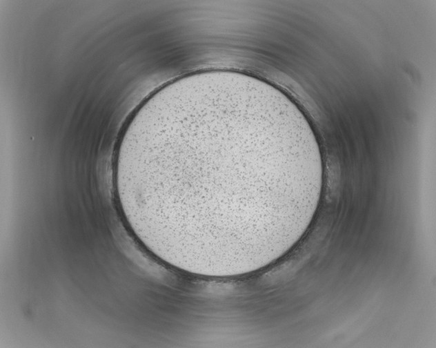 X0000110730890200907241225