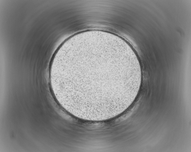 X0000110730891200907241225