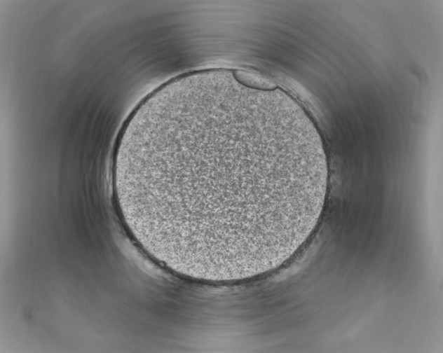 X0000110730892200907241225
