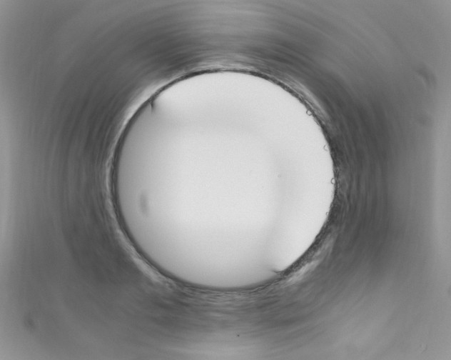 X0000110730893200907241225
