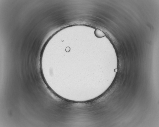 X0000110730894200907241225