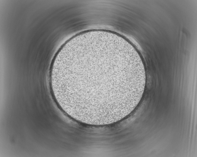 X0000110730895200907241225