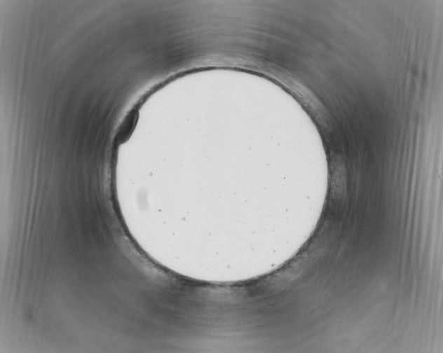 X0000110730896200907241225