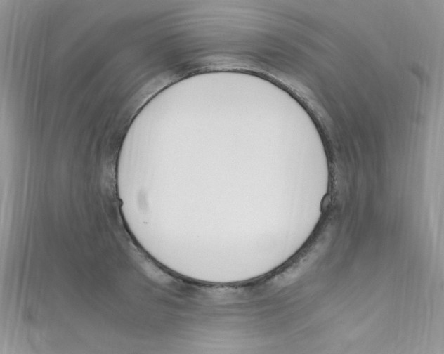 X0000110730897200907241225
