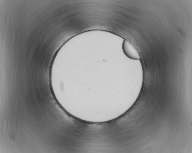 X0000110730898200907241225