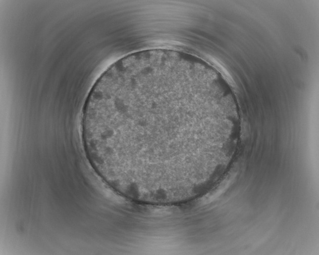 X0000110730899200907241225