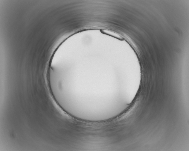 X0000110730901200907241225