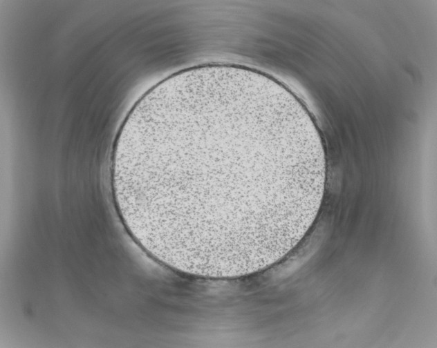 X0000110730903200907241225