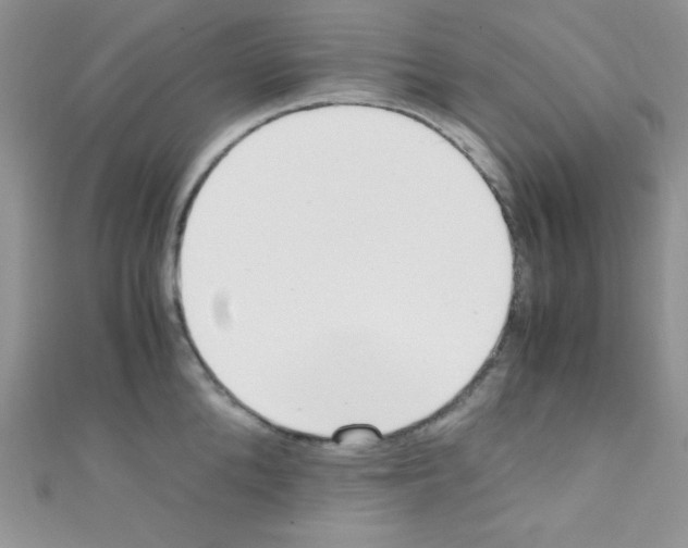 X0000110730904200907241225