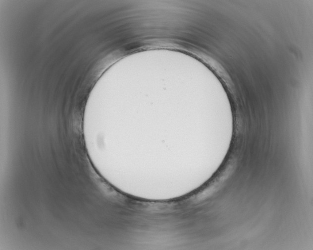 X0000110730905200907241225