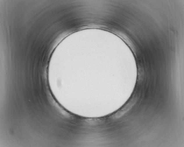 X0000110730906200907241225