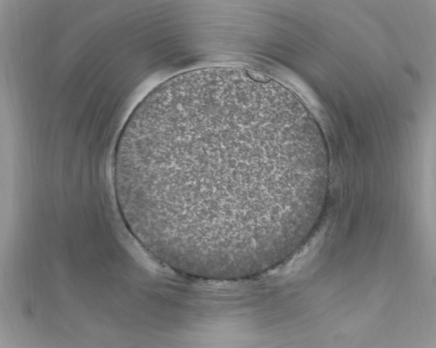 X0000110730907200907241225