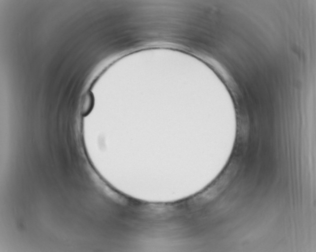 X0000110730910200907241225