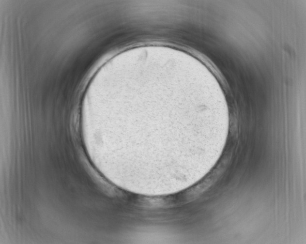 X0000110730911200907241225