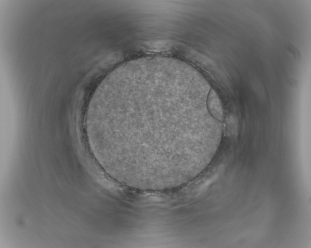 X0000110730913200907241224