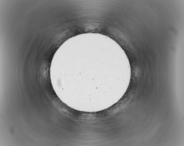 X0000110730914200907241224