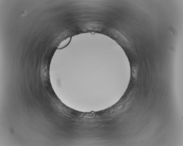 X0000110730915200907241224