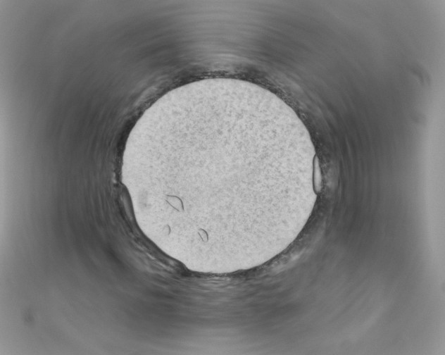 X0000110730916200907241224