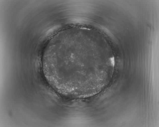 X0000110730918200907241224