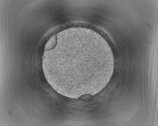 X0000110730919200907241224