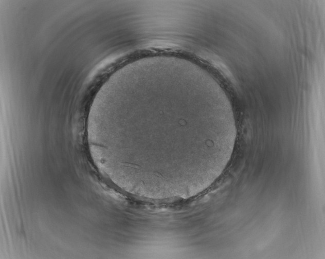 X0000110730920200907241224