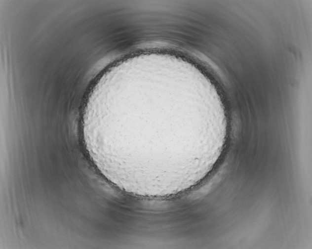 X0000110730921200907241224