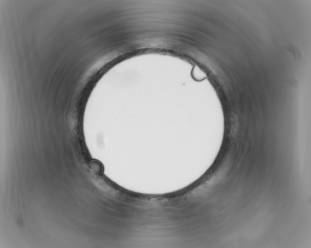 X0000110730922200907241224