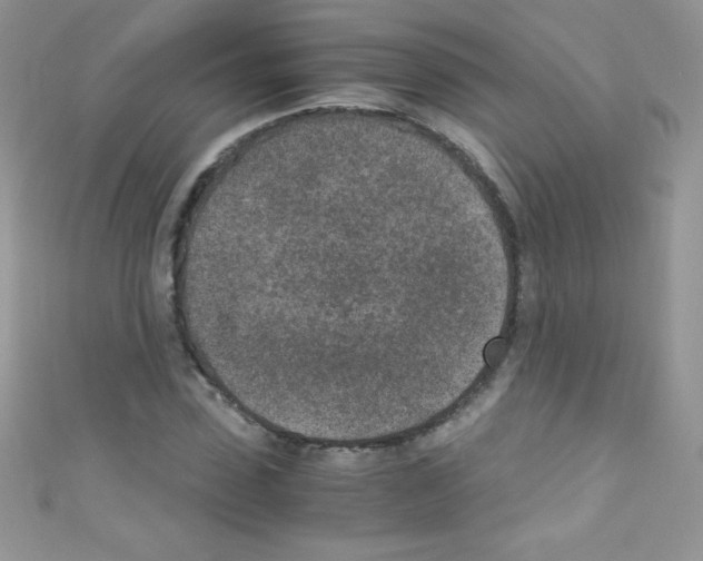 X0000110730923200907241224