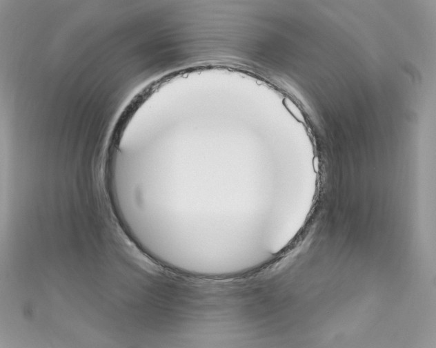 X0000110730924200907241224