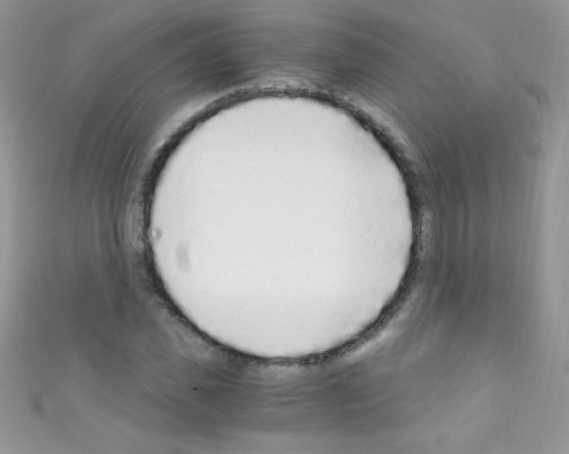 X0000110730925200907241224