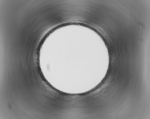 X0000110730926200907241224