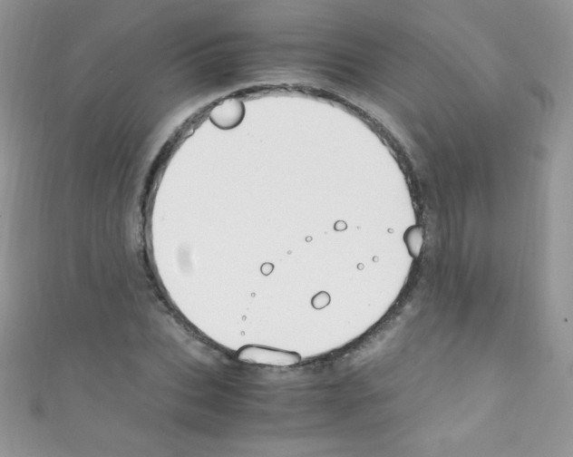 X0000110730927200907241224