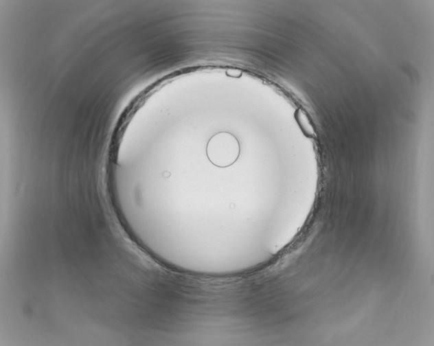 X0000110730928200907241224