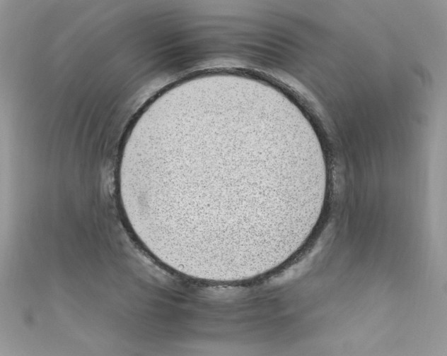 X0000110730929200907241224