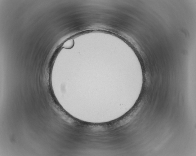 X0000110730931200907241224