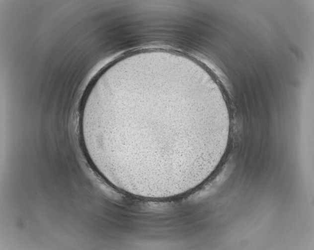 X0000110730933200907241224