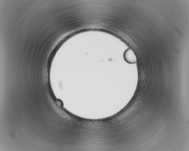 X0000110730934200907241224