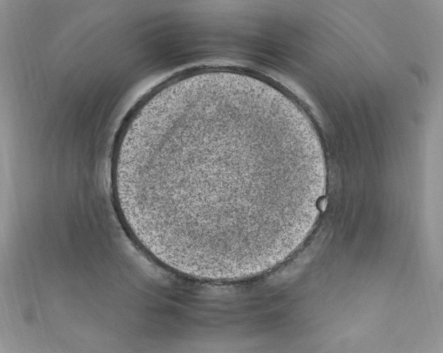 X0000110730935200907241224