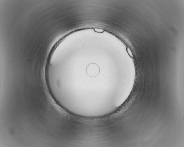 X0000110730936200907241224