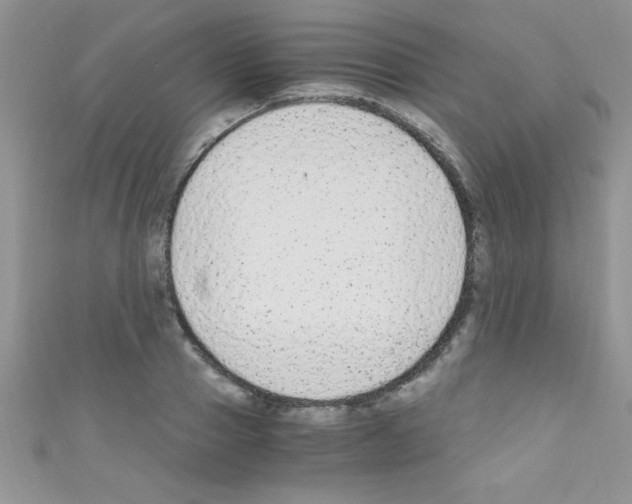 X0000110730937200907241224