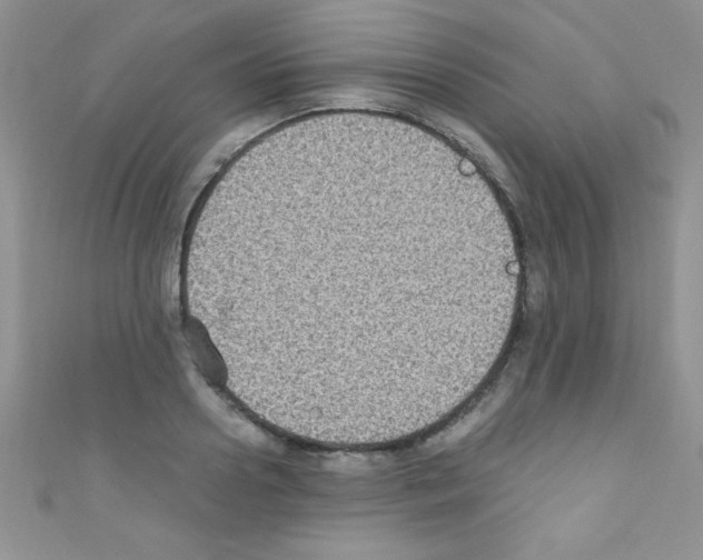 X0000110730938200907241224