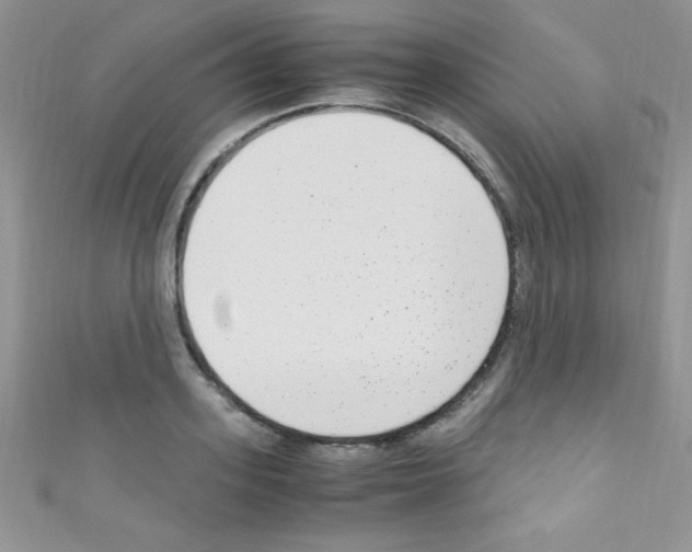 X0000110730939200907241224