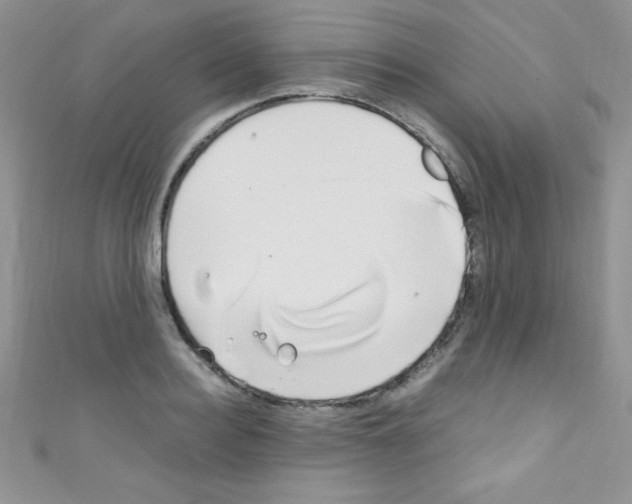 X0000110730940200907241224