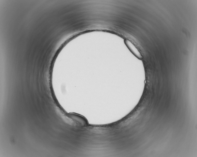 X0000110730942200907241224