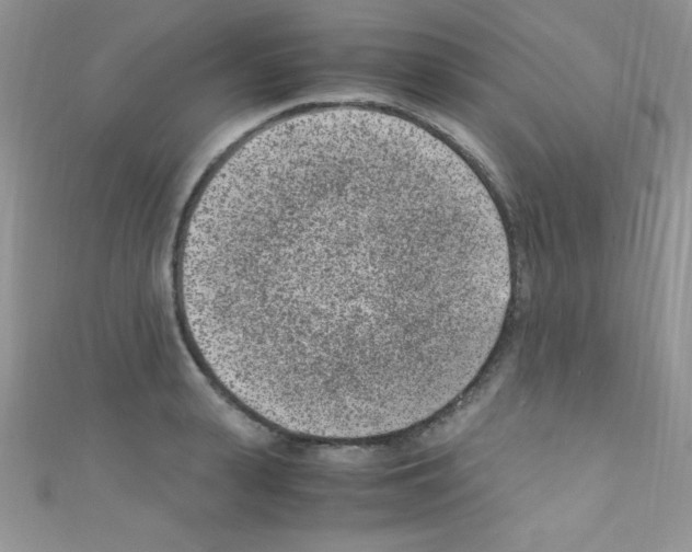 X0000110730943200907241224