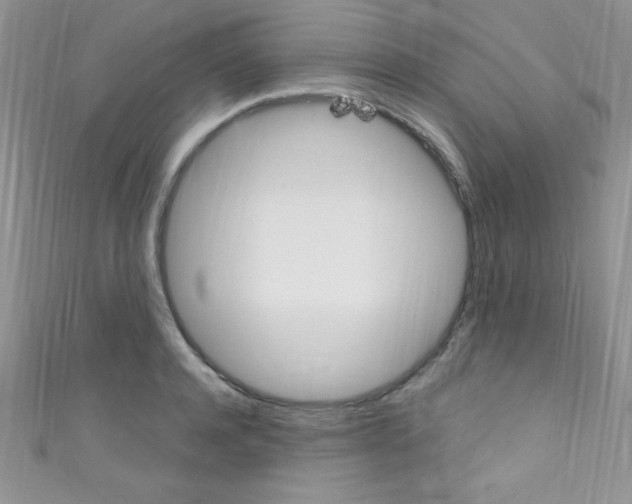 X0000110730944200907241224