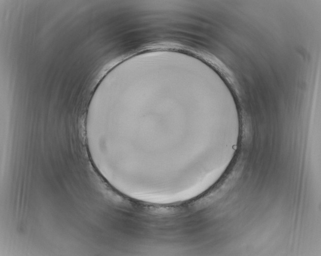 X0000110730945200907241224