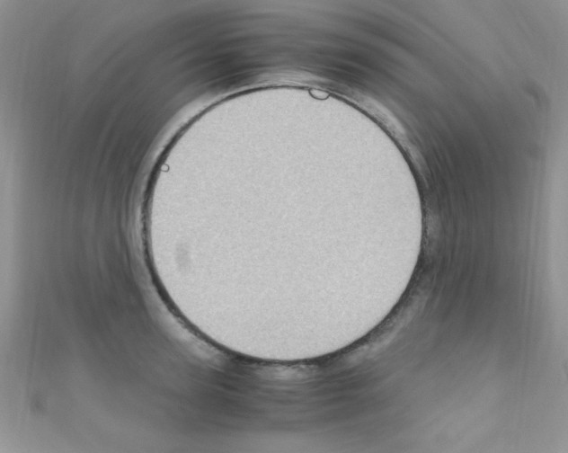 X0000110730947200907241225