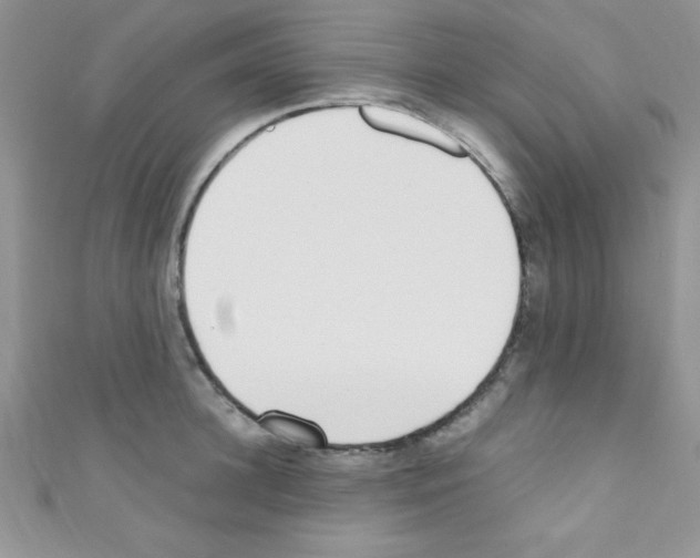 X0000110730948200907241225